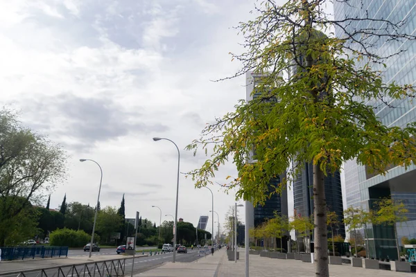 Ausstellung Der Luftparade Die Oktober Den Straßen Von Madrid Und — Stockfoto