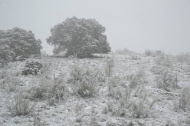 Puerto de Canencia 'da karla kaplı manzara, Sierra de Madrid, İspanya