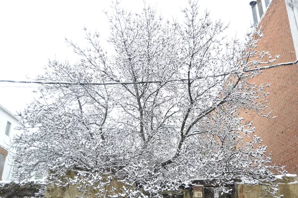 Snow-filled landscape in Puerto de Canencia, in the Sierra de Madrid, in Spain