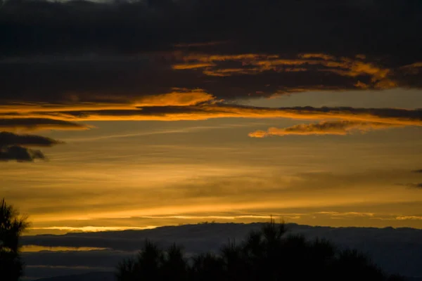 Sunset and lamp with a sky with clouds, gathering some branches of the trees in the parks of Madrid, Spain.