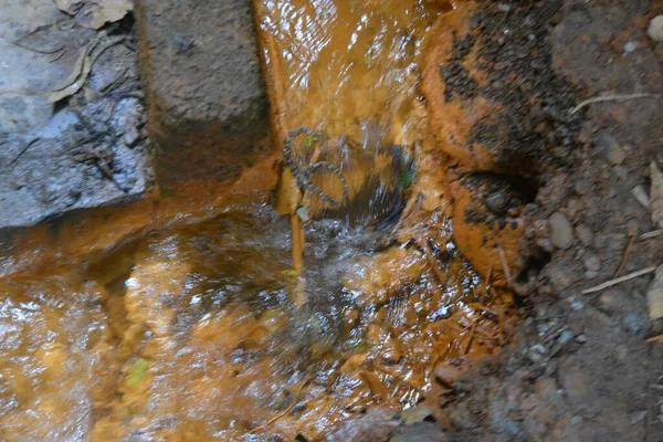 Agua Fuente Agria Prtugos Granada España Formando Pequeño Arroyo Que —  Fotos de Stock