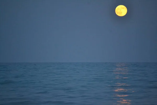 Wolf Moon Super Full Moon Dark Background Madrid Spain Europe — Stockfoto