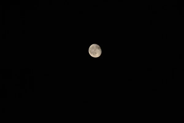 Wolf Moon Super Full Moon Dark Background Madrid Spain Europe — стоковое фото