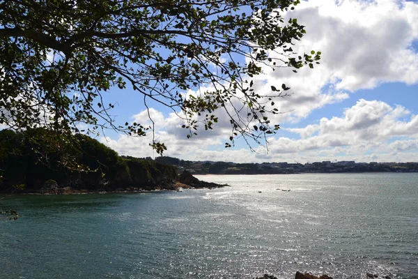 Isla Santa Cruz Est Une Île Espagnole Province Corua Située — Photo