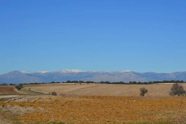 Sierra Madrid Sněhem Vrcholu Suchým Polem Španělsku — Stock fotografie