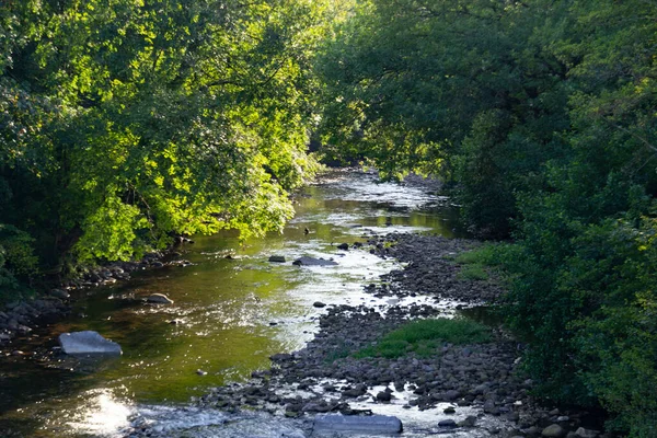 Paisaje Elizondo Navarra Con Río Baztn Elizondo Una Localidad Comunidad —  Fotos de Stock