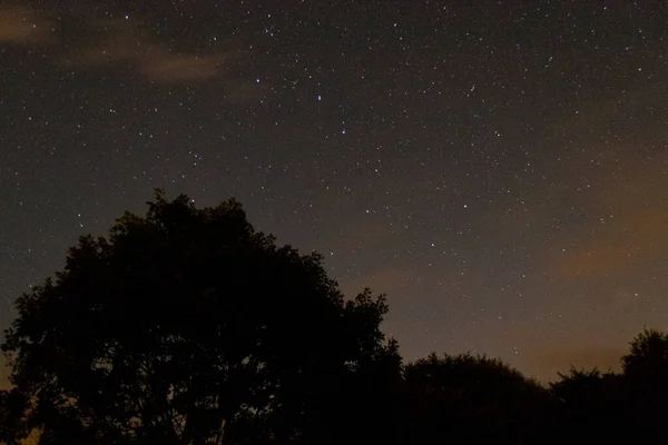 Έναστρη Νύχτα Μεγάλη Άρκτο Στην Κοιλάδα Baztn Και Δήμο Elizondo — Φωτογραφία Αρχείου