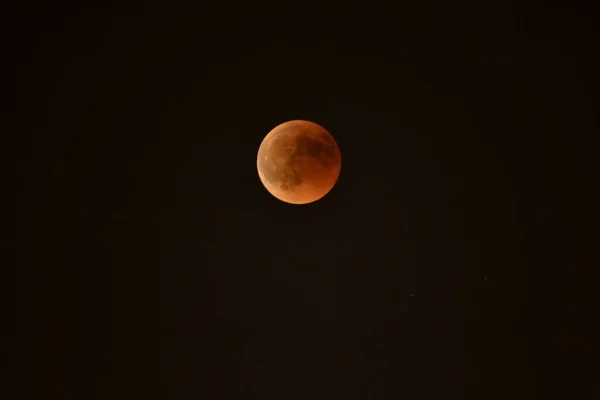 Eclipse Eclipse Lunar Wolf Moon Super Full Moon Dark Background — Fotografia de Stock