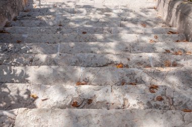 Ağaçlardan yansıyan gölgeli kuru yapraklı taş merdivenler. Arkaplan resmi