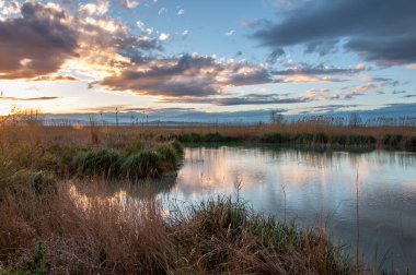 Sonbaharda Albufera de Valencia 'da günbatımı. Vahşi bitki örtüsü ve yansımaları. Korunan doğal alan
