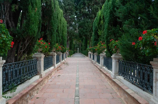 Sendero Interior Parque Otoñal Rodeado Vegetación Naturaleza Cipreses Otras Plantas — Foto de Stock