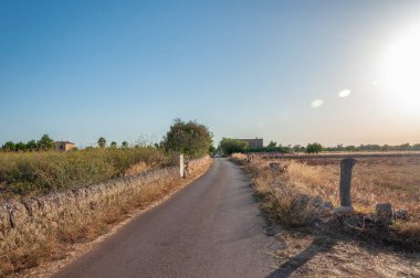 Güneşli bir yaz gününde gün batımında Mallorca adasının iç kesimlerinde kırsal bir yol.