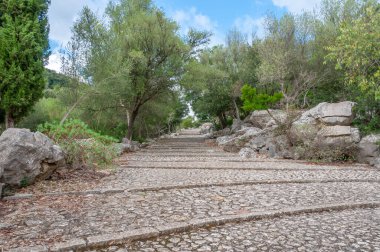 İspanya 'nın Mallorca adasındaki Hristiyan Lluc Manastırı' nı çevreleyen Akdeniz ormanına giriş izni veren antik taş merdiven.