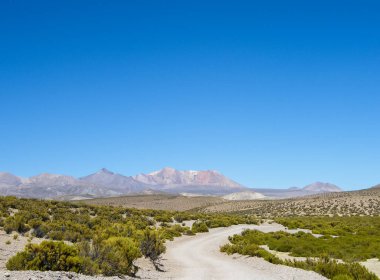 Şili 'nin kuzeyindeki Altiplano (Highlands) çok yüksek rakımlı düz platodan yapılmıştır.. 