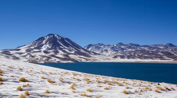 Lagune Miscanti Meique Nel Deserto Atacama Durante Inverno Lagune Altiplaniche — Foto Stock