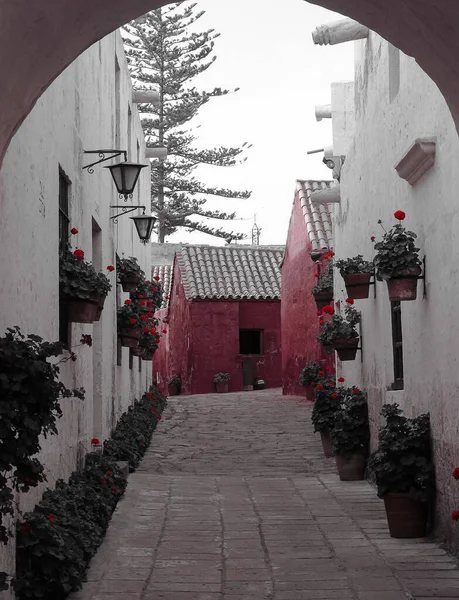 Arequipa 'daki Santa Catalina Manastırı' nın özel filtresiyle soyut siyah beyaz resim.