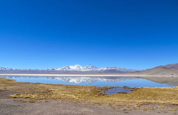Nevado Tres Cruces Ulusal Parkı 'ndaki Santa Rosa Gölü' nün manzarası..