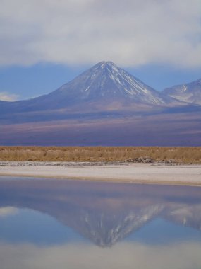 Şili 'nin kuzeyindeki Atacama Çölü' ndeki Cejar lagünündeki Licancabur Volkanı 'nın yansıması.