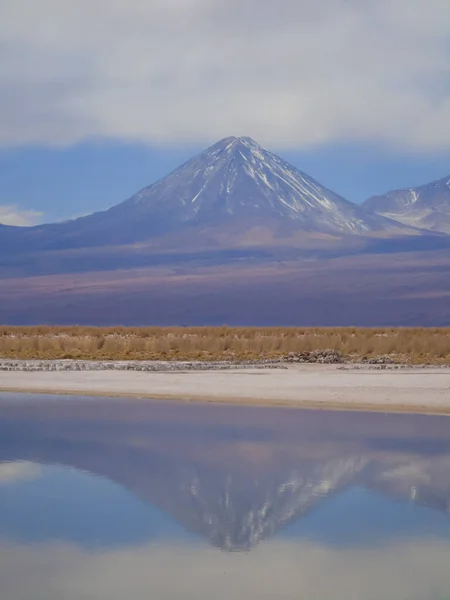 Şili 'nin kuzeyindeki Atacama Çölü' ndeki Cejar lagünündeki Licancabur Volkanı 'nın yansıması.