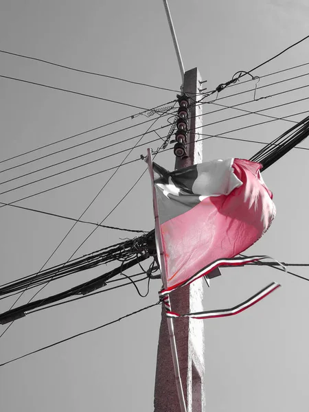 Zwart Wit Beeld Van Chileense Vlag Zwaaiend Tussen Elektriciteitskabels Neergeschoten — Stockfoto