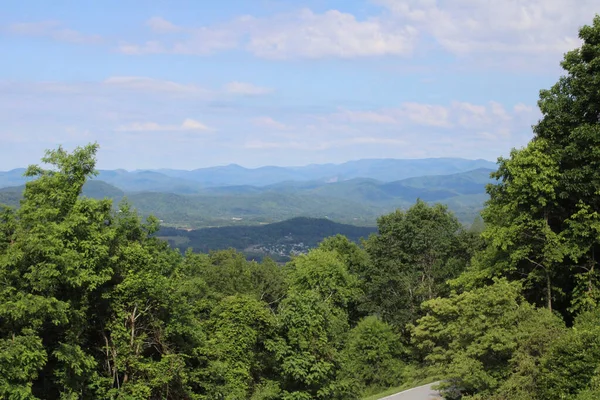 Overdag Uitzicht Zomer Vanaf Prive Terras Laurel Park North Carolina — Stockfoto