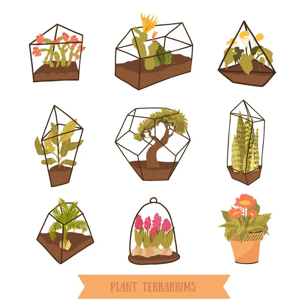 Doodle terrarier med växter för suckulenter och cactus. Trädgård design i glas — Stock vektor