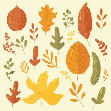 Düz set yaprak. Basit çizgi film düz stil, vektör çizim.