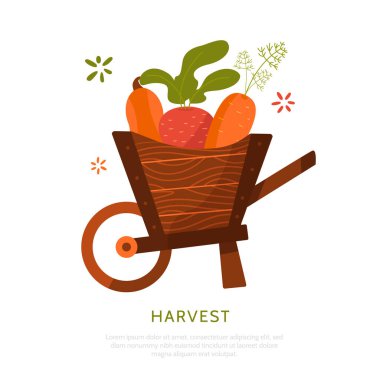 Cart kırmızı pancar, havuç ve beyaz arka plan üzerinde izole kabak hasat. Hasat kavramı