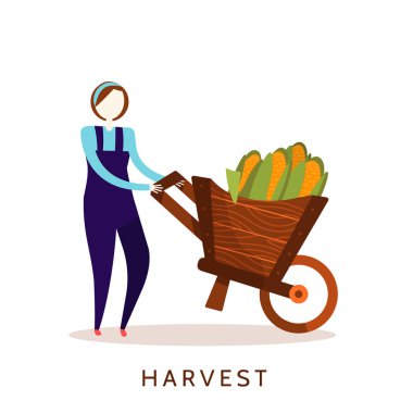 Kız vektör çizim hasat. Mısır ile tarım kavramı