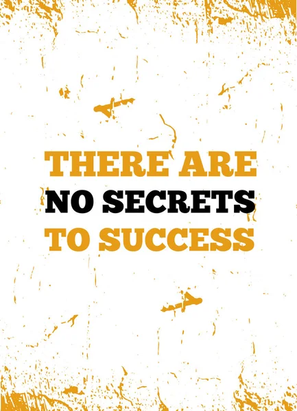 There are no secrets to success Motivational Quote poster for wall