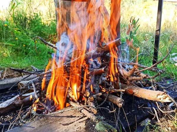 Çimenlerin arka planında yangın