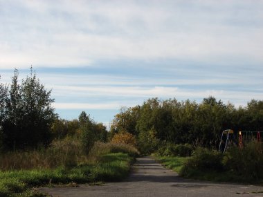 Parktaki ağaçlar gökyüzüne karşı                         