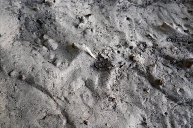 Gri kum köprünün altında nehrin kenarında