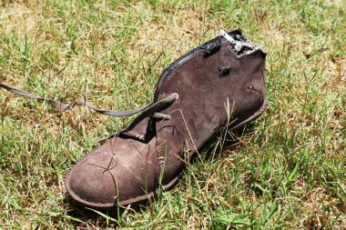 Tarlada sinek olan yırtık bir ayakkabı.