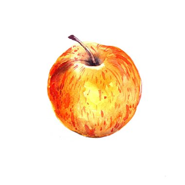 Sarı Elma. Suluboya çizimi beyaz arkaplanda izole edildi. Yazdırma, tebrik kartları, ambalaj kağıtları, çıkartmalar, dekor, ambalaj, tekstil, menü için