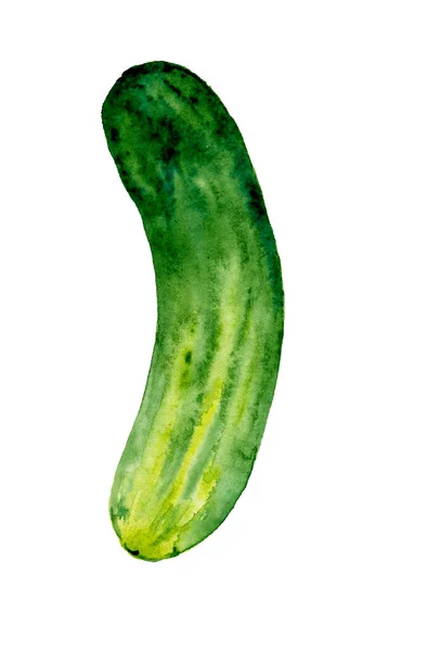 Cucumber Watercolor Isolated White Background — Stock Photo, Image