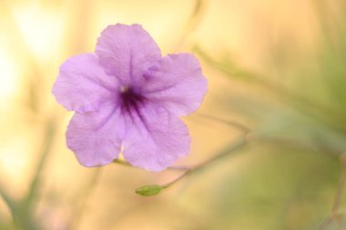 Laos Ulusal Yolu, ülkenin dağ ve mavi gökyüzü