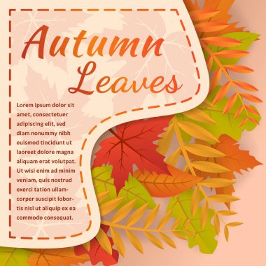 Parlak yapraklı sonbahar vektör çizimi. Sonbahar yaprakları arka plan. Tebrik kartı, satış veya tanıtım posteri, broşür, web pankartı için tasarım.