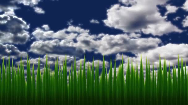 Animation Grass Sky Swaying Green Blades Grass Slowly Floating Clouds — Stock Video
