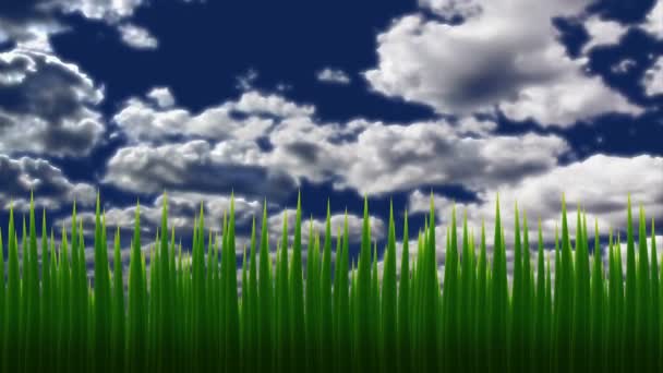 Animation d'herbe contre le ciel. Balançant des brins verts d'herbe et des nuages flottants lentement. Concept d'environnement vert