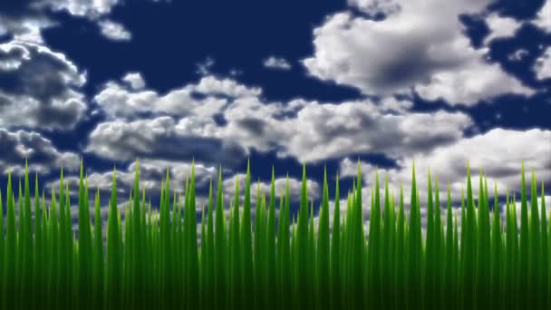 Animation Herbe Contre Ciel Balançant Des Brins Verts Herbe Des — Video