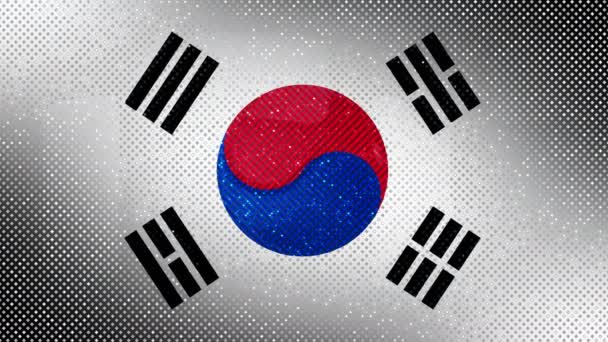 Die Flagge Südkoreas. Ein flimmerndes Pixelmuster. — Stockvideo