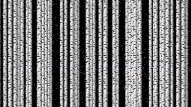 Ağaç gövdesi. Ağaçlar sağdan sola doğru yavaşça hareket eder. Bir huş ağacı ormanı illüzyonu.