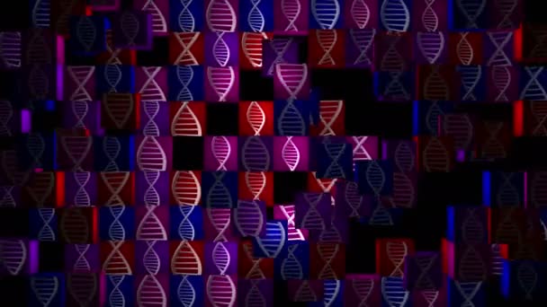 ADN. Las celdas con cintas de ADN se alternan en un campo de mosaico. — Vídeo de stock