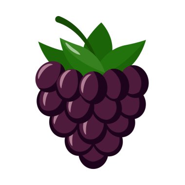 Blackberry beyaz arka planda izole edilmiş. Blackberry düz simgesi.