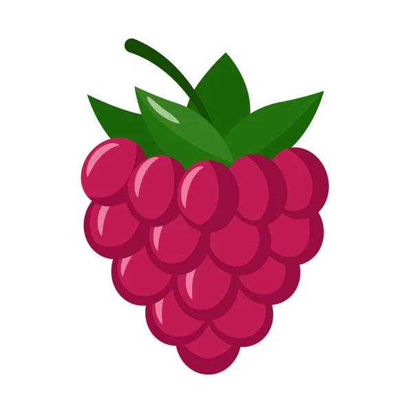 Framboise Isolée Sur Fond Blanc Icône Plate Framboise — Image vectorielle