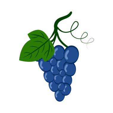 Üzüm beyaz arka planda izole edilmiş. Üzüm yassı simgesi.