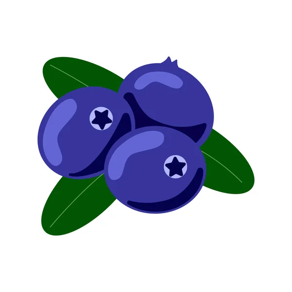 Mirtilo Isolado Fundo Branco Blueberry Ícone Plano — Vetor de Stock