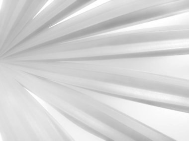 Beyaz arkaplan ile soyut gri avuç içi biçimli yaprak modeli.