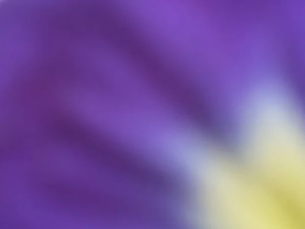 紫と薄黄色の模様の背景 — ストック写真